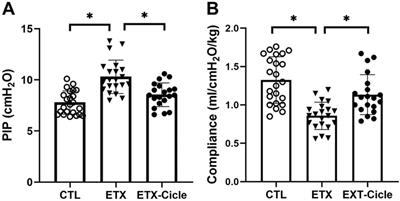 Ciclesonide exhibits lung-protective effects in neonatal rats exposed to intra-amniotic enterotoxin